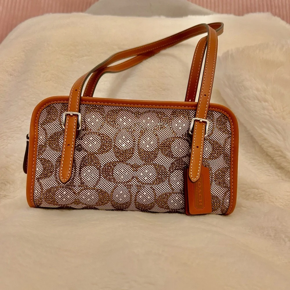 *AUTHENTIC*🍓COACH CRYSTAL SWING ZIP🍓NWOT - Picture 1 of 8
